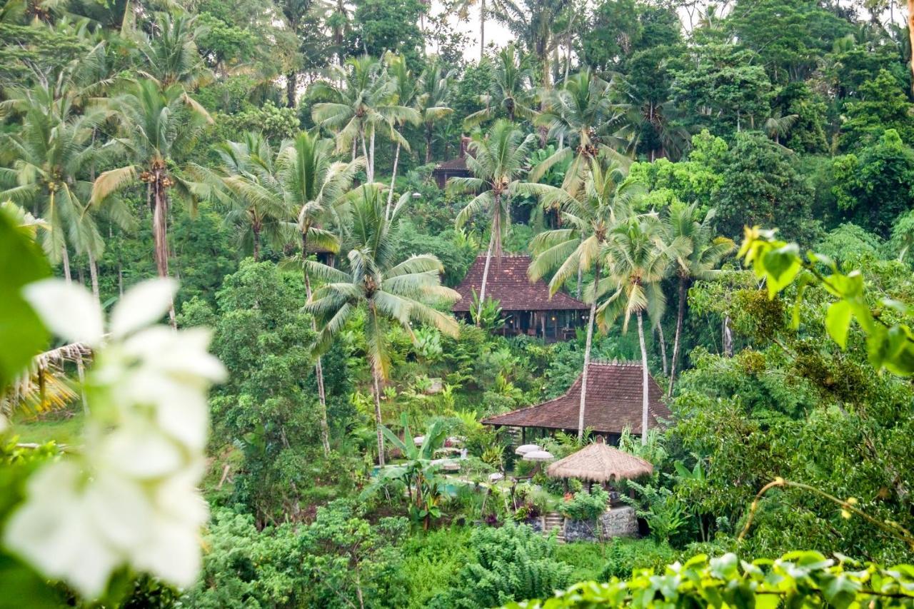 Villa Mahadevi Jungle Retreat Joglo 1 Ουμπούντ Εξωτερικό φωτογραφία