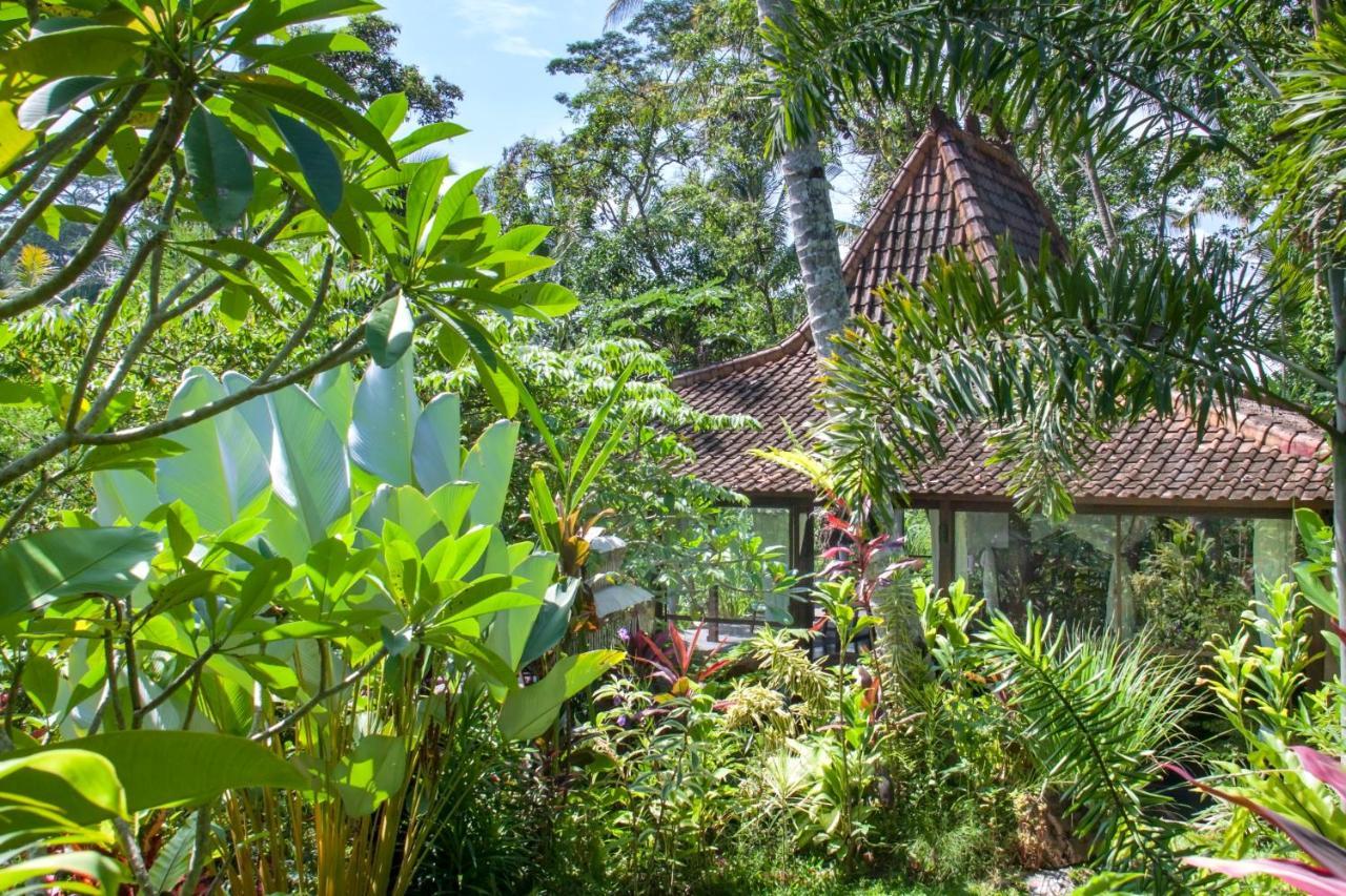 Villa Mahadevi Jungle Retreat Joglo 1 Ουμπούντ Εξωτερικό φωτογραφία